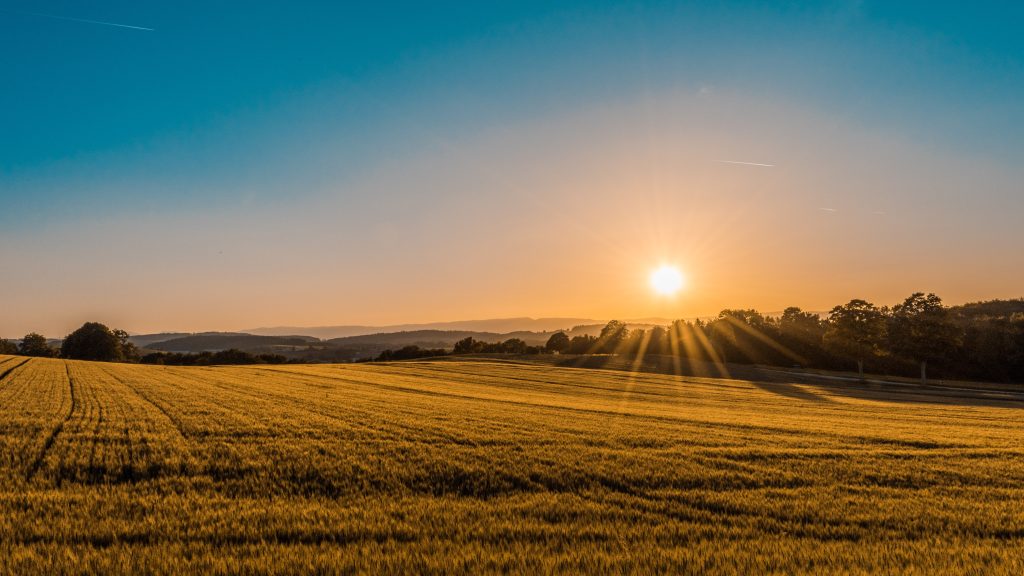 Nature-based solutions for agriculture