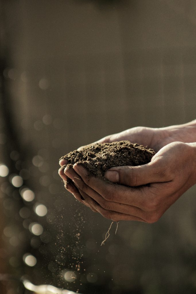 Solutions naturelles pour l'agriculture