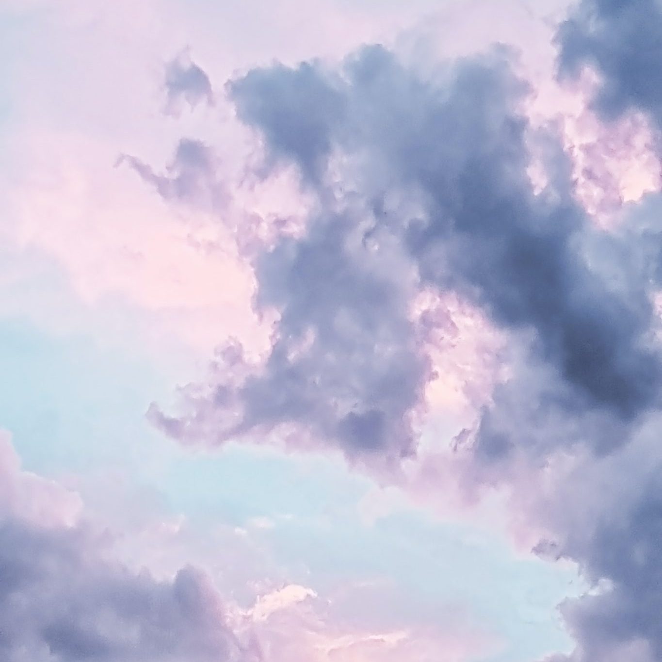 eberhard-grossgasteiger-J9NDmBVhN04-unsplash eberhard-grossgasteiger-J9NDmBVhN04-unsplash